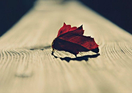 ֵ4(ͼƬԴᲩ)