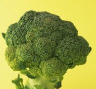 ʮθʳа  Ϸҽʦ